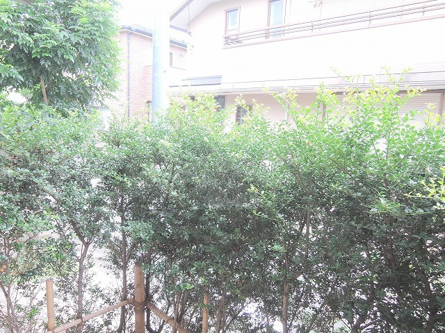 メゾンレーヴの展望|★テラスからの景色です★