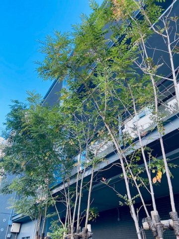広尾アパートメントの外観|※参考写真