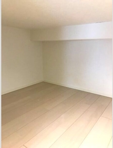 スヴニール伝馬のその他