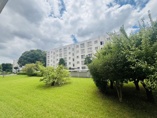 【展望】 | 多摩川住宅ハ棟 | 前面棟との距離が広く、多摩川住宅の緑溢れる景観が望めます♪