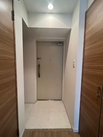 エグゼ難波南Ⅴの玄関
