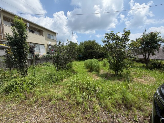 坂元町　中古戸建ての庭