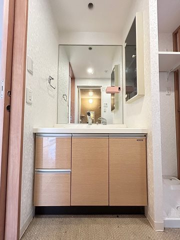プラマーⅤ番館の洗面所