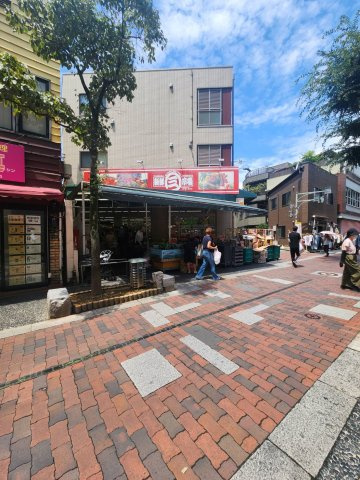 ライオンズプラザ川口幸町の周辺|マンションの前には安さで人気の新鮮市場幸町店があります