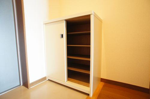 クイーン５０９の収納|※別部屋の写真になります