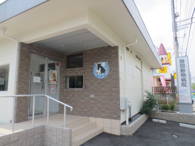Ｍａｉｓｏｎ　Ｃｅｒｉｓｉｅｒ　メゾンスリジェのその他|勝間動物病院