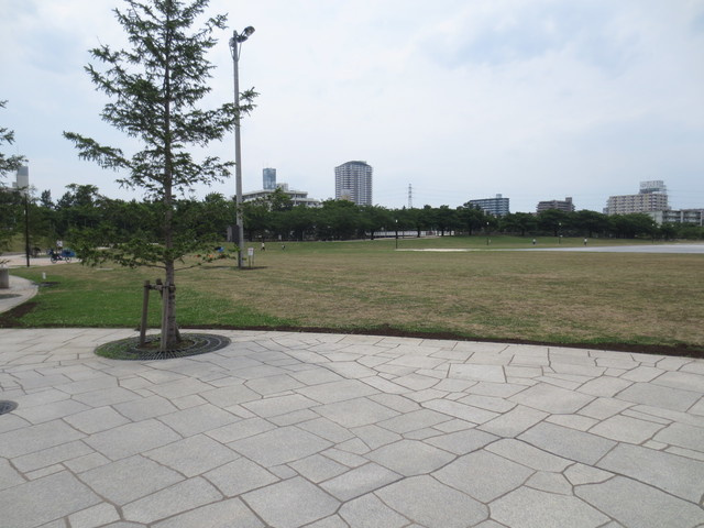 Ｍａｉｓｏｎ　Ｃｅｒｉｓｉｅｒ　メゾンスリジェのその他|綾瀬川左岸防災公園