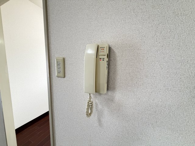 ラフィーヌ・ベルデアールのセキュリティ
