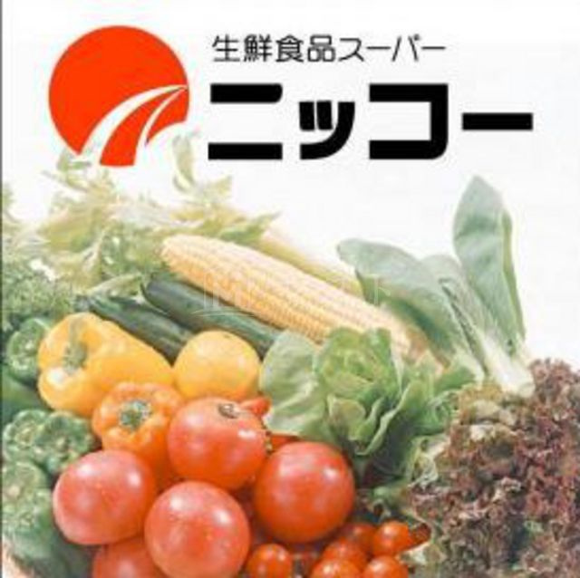 レグゼスタ弁天町の周辺|スーパー「ニッコー波除店」