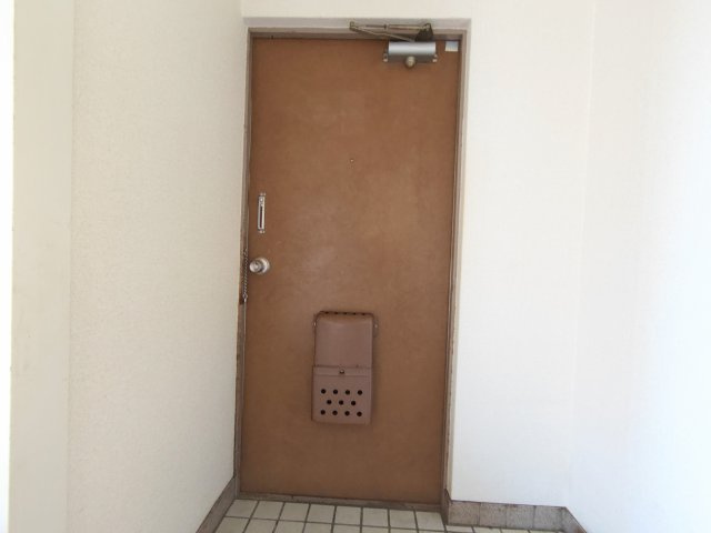 コーポラス西脇　静岡市駿河区西脇の玄関|防犯用のチェーンがついています