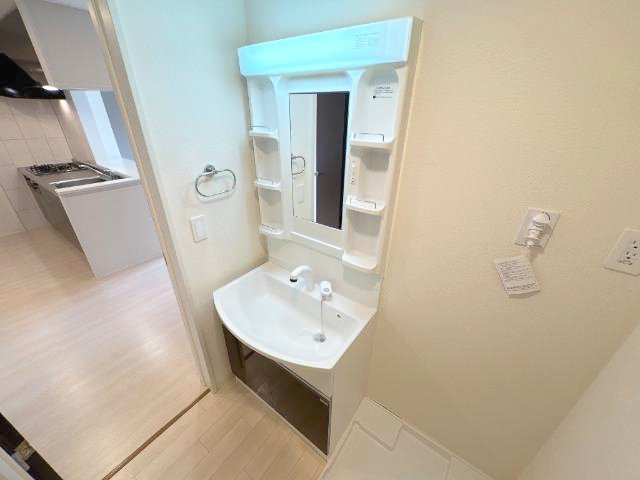 熊本市北区龍田７丁目のアパートの洗面所|シャンプードレッサー