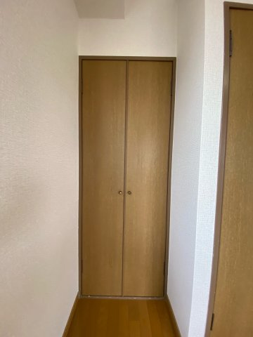 ルミエールSの収納|イメージになります。
洋室内の収納です