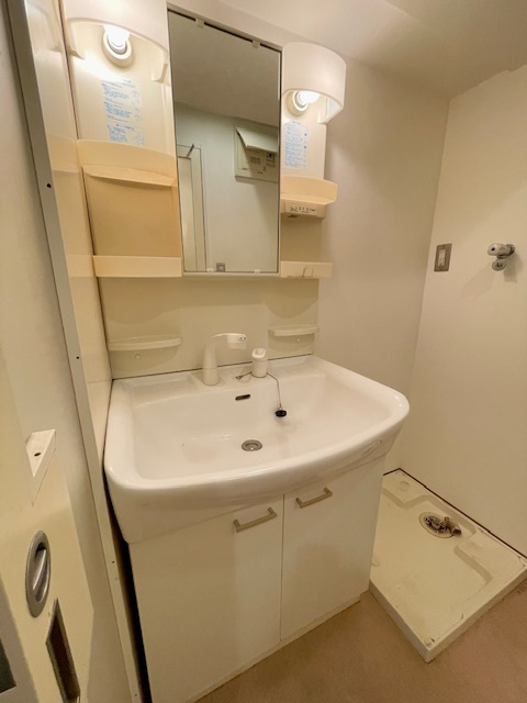 K-CRAFT UMEDA161の洗面所