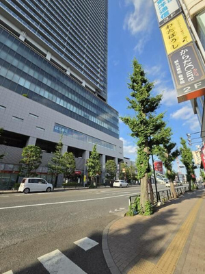 【周辺】 | ライオンズプラザ八王子(ライオンズプラザハチオウジ)