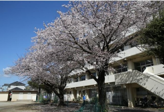 船橋市松が丘２丁目７４６番の周辺|古和釜中学校