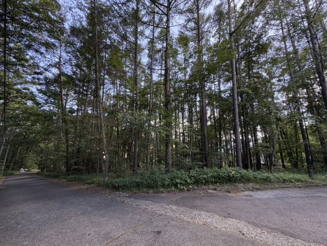 【北杜市大泉町谷戸】約729坪の山林土地