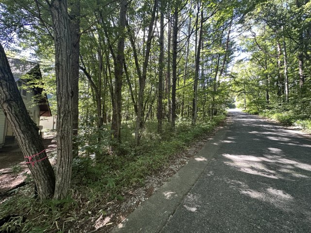 【北杜市大泉町谷戸】約729坪の山林土地の周辺|土地の南東角から撮影