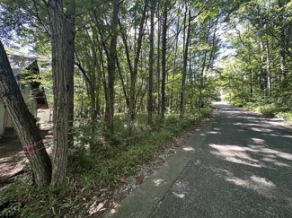 【周辺】 | 【北杜市大泉町谷戸】約729坪の山林土地 | 土地の南東角から撮影