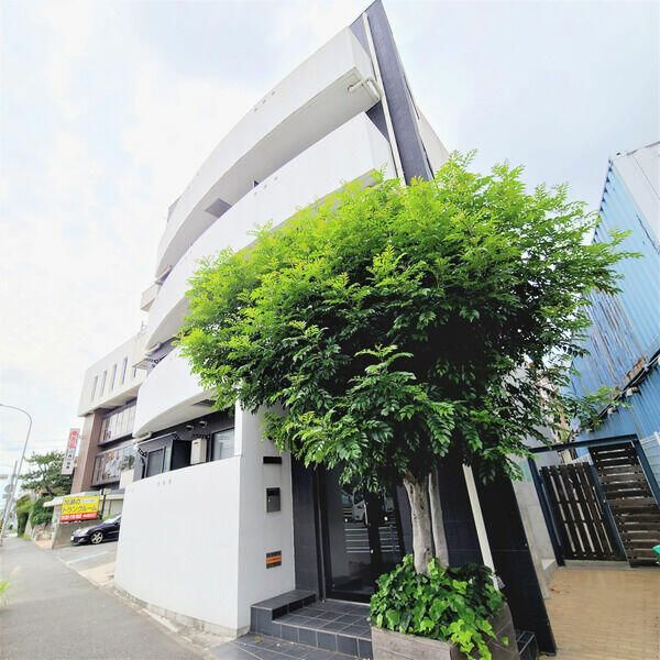 川崎市宮前区有馬２丁目の賃貸マンションの外観