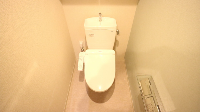 グリーンサイトミナミモリマチのトイレ|同マンション別部屋：参考写真
