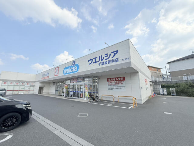 ブルーミングガーデン　千葉市若葉区加曽利町２期１棟／２期１号棟の周辺|ウエルシア千葉加曽…まで564m