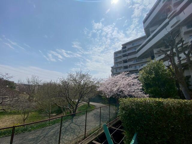 船橋ビレジの庭
