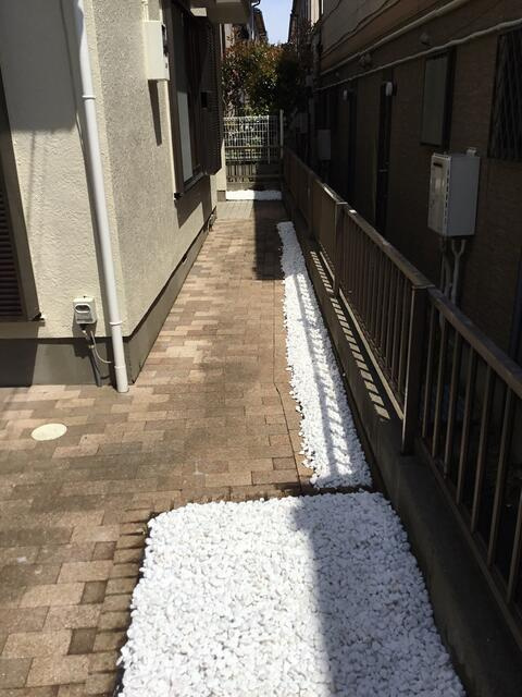 市川市北国分中古住宅１棟の庭|玄関通路
