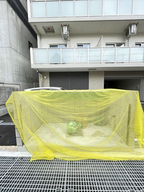 サザンクロスのその他