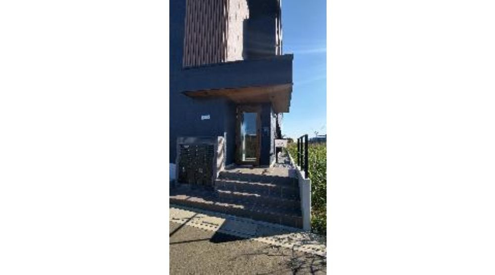 さいたま市緑区大字中野田の賃貸マンションのエントランス