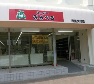 THEパームス東武練馬の周辺