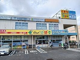 プリムローズのその他