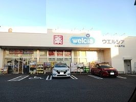 プリムローズのその他