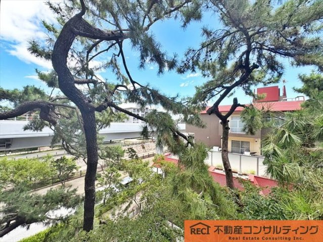 住吉川パーク・マンションのその他