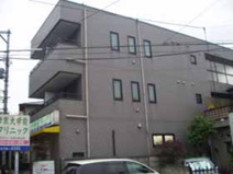 アムールユタカの画像