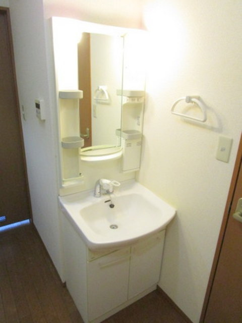 エクレール東糀谷ＥＡＳＴの洗面所|シャンプードレッサー