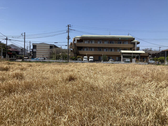千葉市中央区浜野町の売地の外観|4月中旬撮影