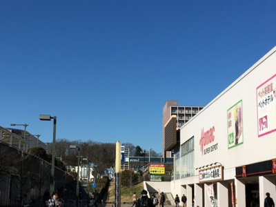 【周辺】 | パピヨン八王子みなみ野(パピヨンハチオウジミナミノ)