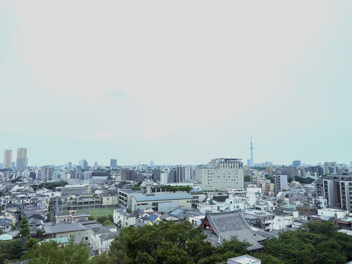 【展望】