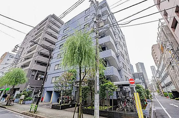 セザール第二月島の外観|外観もきれいです