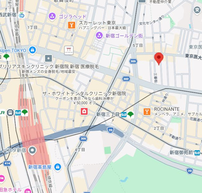 【地図】 | 新宿大和ビル