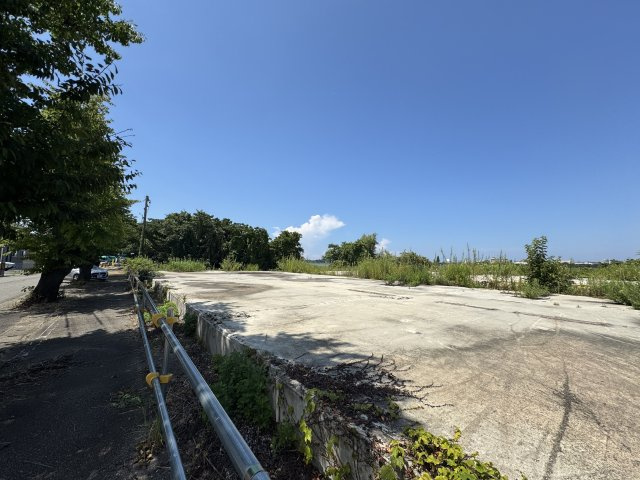 中央区長潟2丁目　土地の周辺|《自然環境、景観の保全に配慮します》
　鳥屋野潟らしい景観である桜並木の保全、ハクチョウなどの渡り鳥や多様な動植物の生息・生育を可能とする湿地の保全に配慮します。