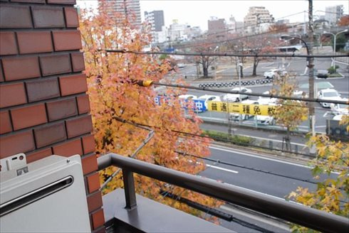 大和マンションの展望