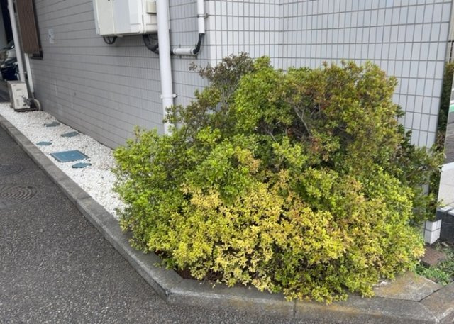 【中庭】 | ライオンズマンション相模原第八 | 中庭（パティオ）とは、一つの建築物の内部に設けられた、壁などで囲われている庭のことを指します。コの字型、ロの字型が主流ですが、L字型の中庭もあります。最近では、インテリア性の高さからも人気があります。
