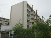 多摩川住宅ハ－19号棟の画像