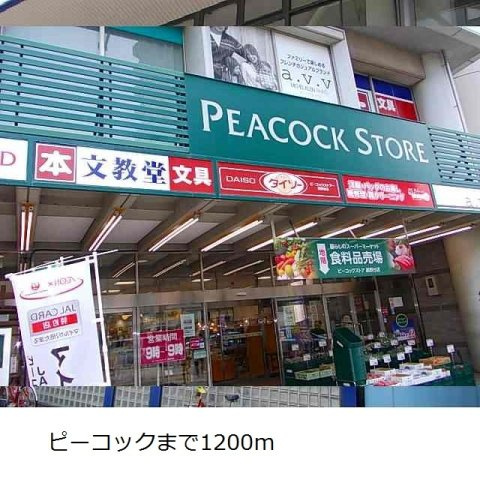 カーサ・プラシードの周辺|ピーコックまで1200m