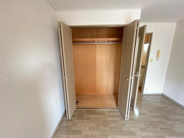 エヴァーグリーンの収納|クローゼット