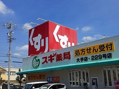 ラ・ロシェルの周辺|スギ薬局 大手店 229号店まで210m