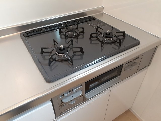 ハミングバードのその他