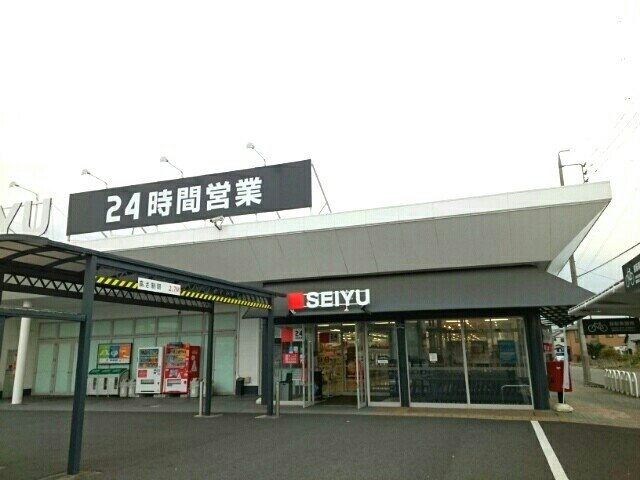 サニー　ガーデンの周辺|SEIYU    松河戸店まで1310m