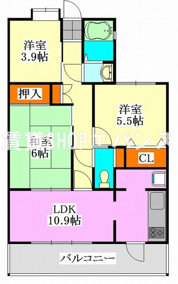 【間取り】 | ベルシャトウ津田沼